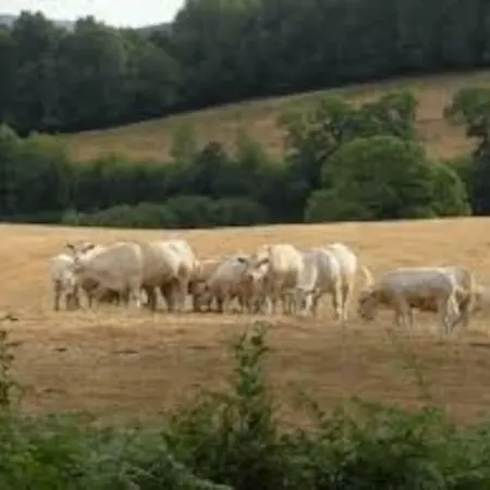 La Ferme Des Pierrettes
