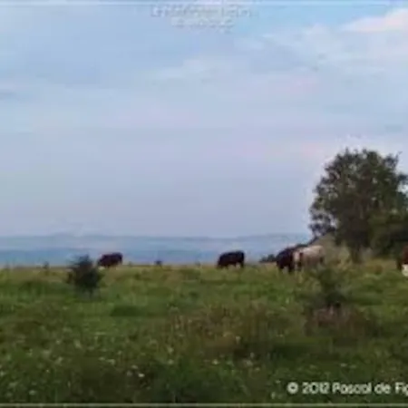 La Ferme Des Pierrettes Feriehus Menneville